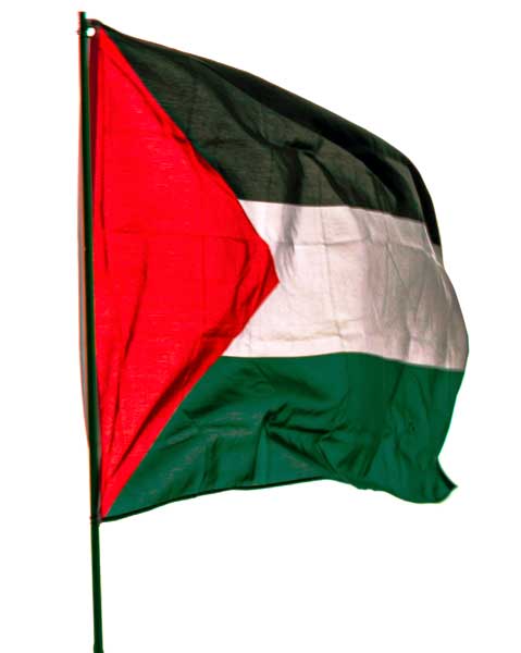 Palestinian Flag